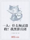 一人:什么拘灵遣将?我黑影兵团