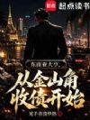 东南亚大亨,从金山角收债开始