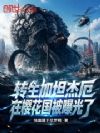 转生加坦杰厄,在樱花国被曝光了