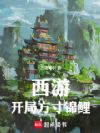 西游:开局方寸锦鲤