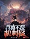我真不是机制怪