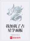 我加载了占星学面板