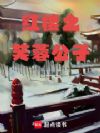 红楼之芙蓉公子