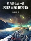 纯血凤凰当鸡养?校花直播曝光我