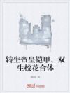 转生帝皇铠甲,双生校花合体