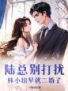 陆总别打扰,林小姐早就二婚了