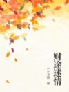 财途迷情
