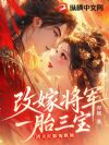 改嫁将军一胎三宝,渣夫红眼悔断肠