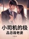小司机的极品总裁老婆