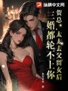 贺总,太太去父留女后,三婚都轮不上你
