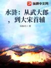 水浒:从武大郎,到大宋首辅