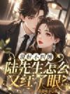 说好不纠缠,陆先生怎么又红了眼?