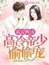 霸爱晚成:高冷帝少偷偷宠