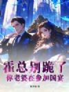 霍总别跪了,你老婆在参加国宴