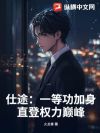 仕途:一等功加身,直登权力巅峰