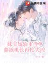 妹宝娇软,重逢后,禁欲机长再度失控