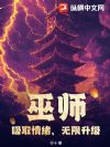 巫师:吸取情绪,无限升级!